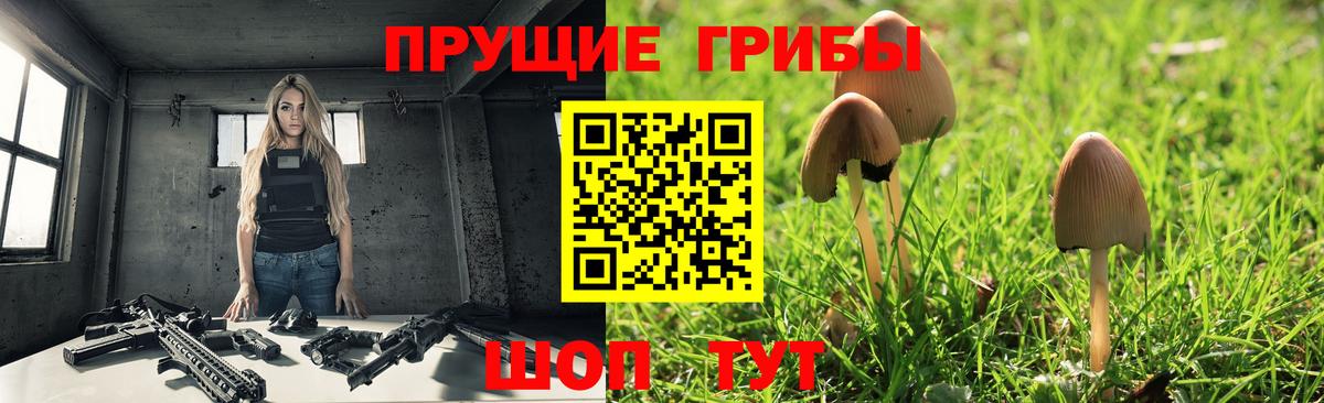 Галлюциногенные грибы Psilocybine cubensis  Псилоцибиновые грибы прущие грибы  Муравленко  Вход с VPN 