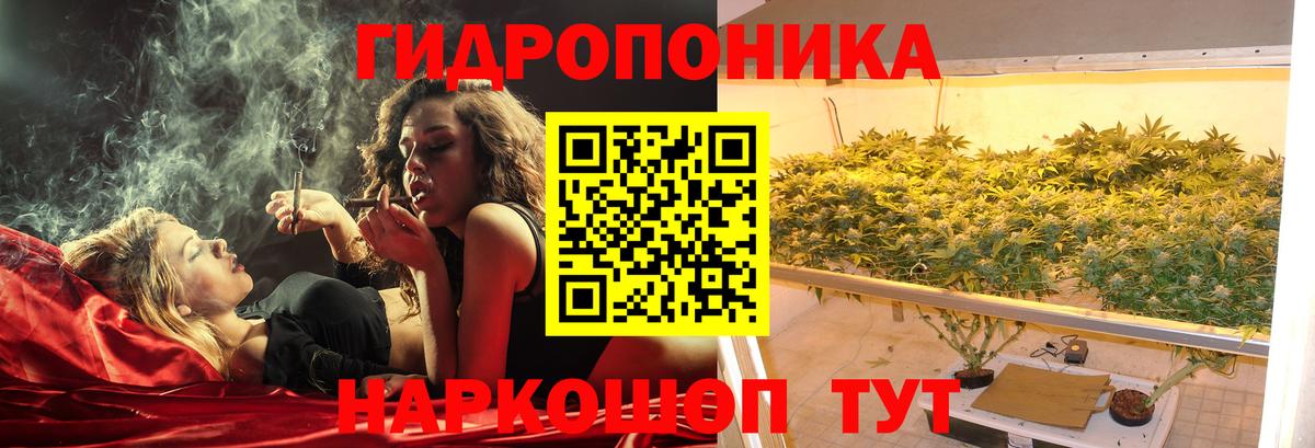 Марихуана SATIVA & INDICA  Каннабис семена  Вход с VPN  Муравленко  Каннабис ГИДРОПОН  Канабис Ganja 